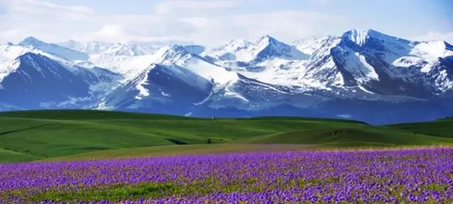 新疆智造领航，开启未来生活新纪元