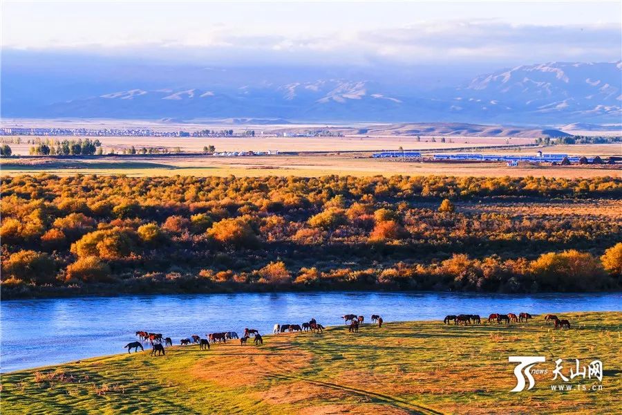 新疆智造领航,开启未来生活新纪元
